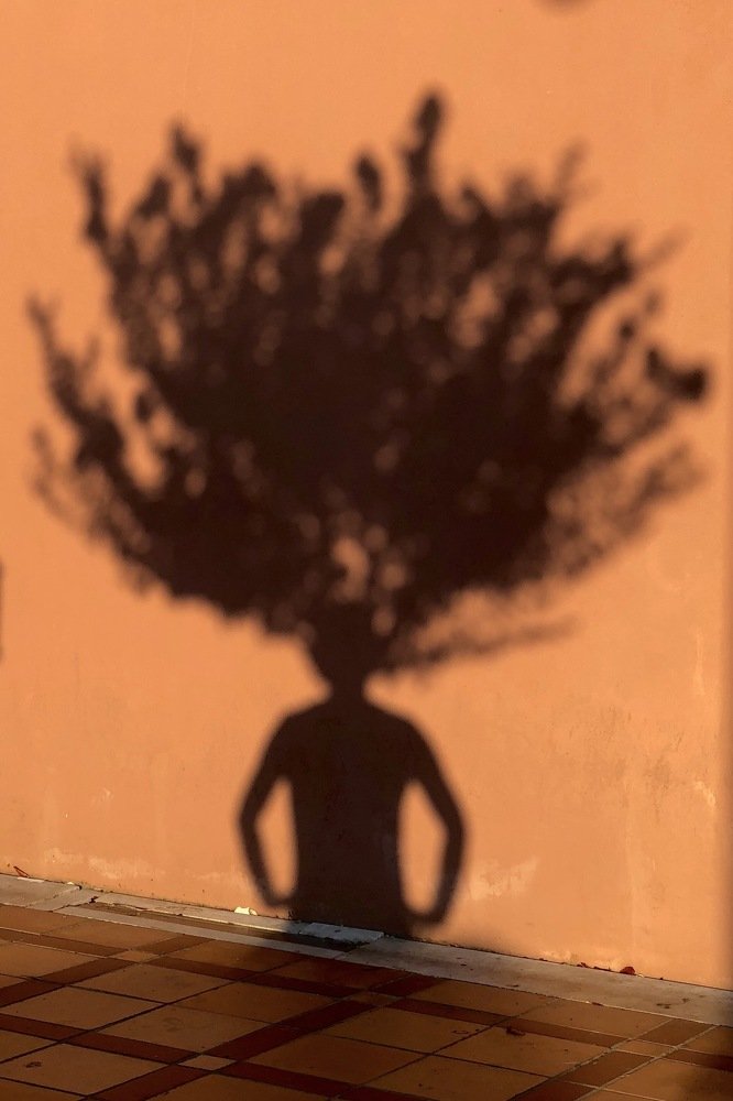 Фотография автора Kağan Baştimar