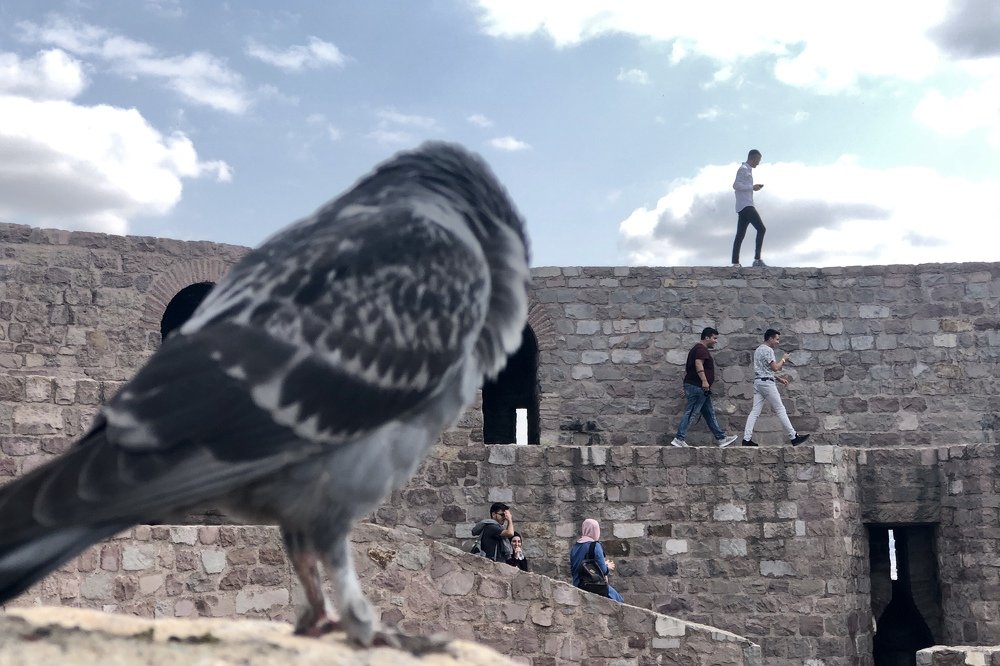 Фотография автора Kağan Baştimar