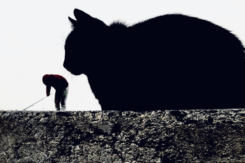 Фотография автора Kağan Baştimar