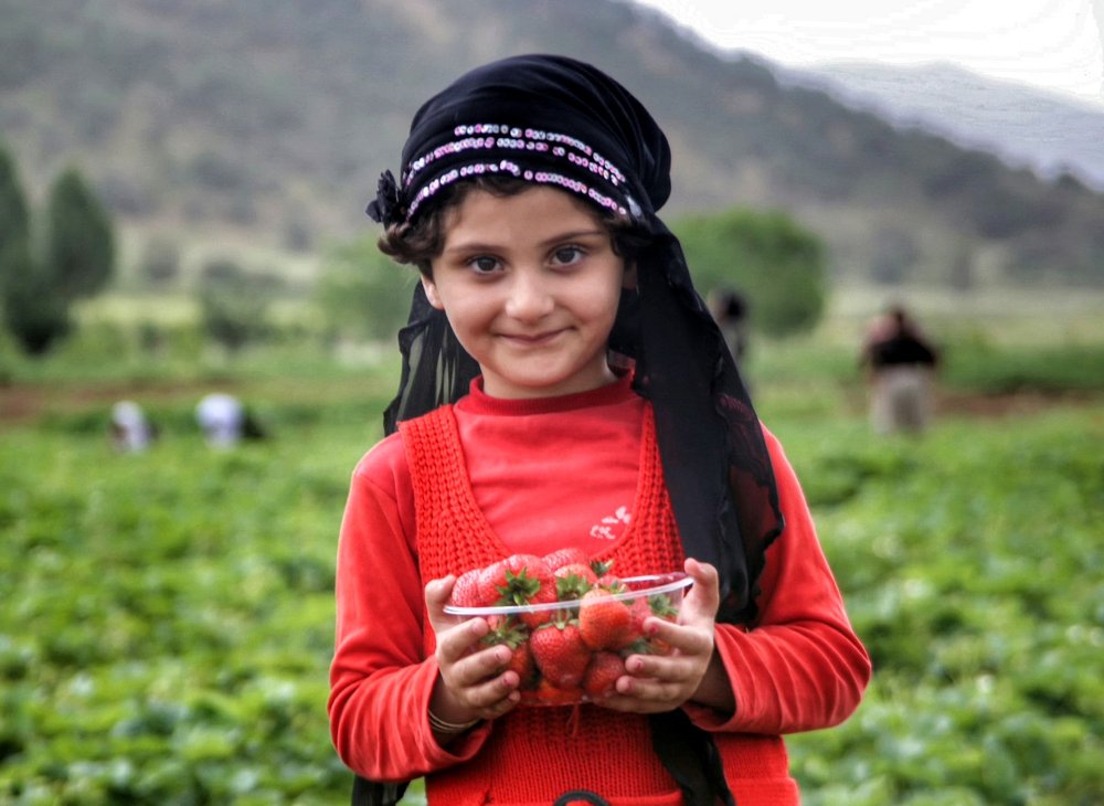 Photograph by ali razaviyan