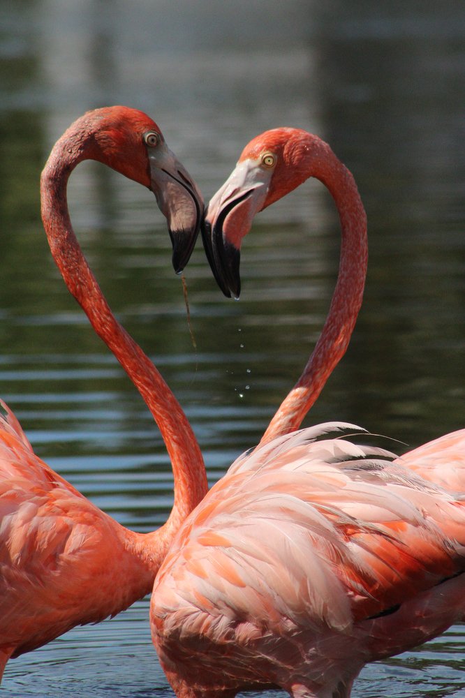 Photograph by luis antonio cruz perez