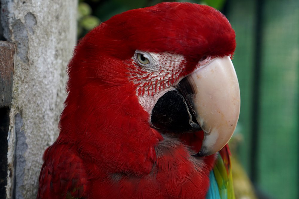 Photograph by Dzianis Mizhui