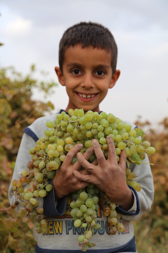 Photograph by ali razaviyan