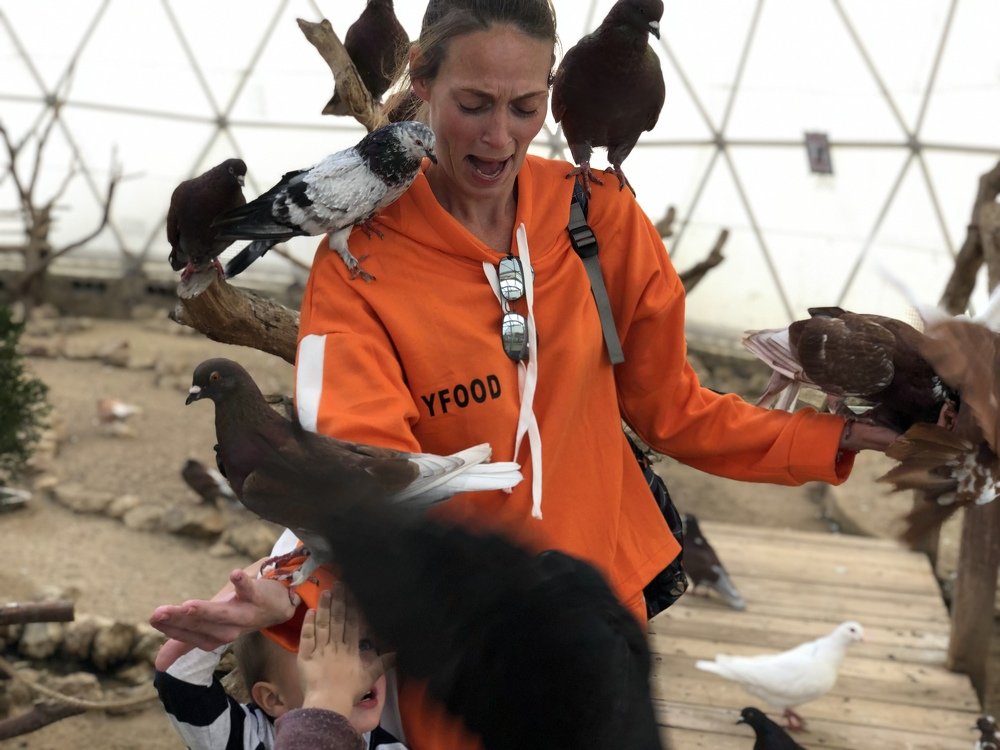 Photograph by Ольга Петухова