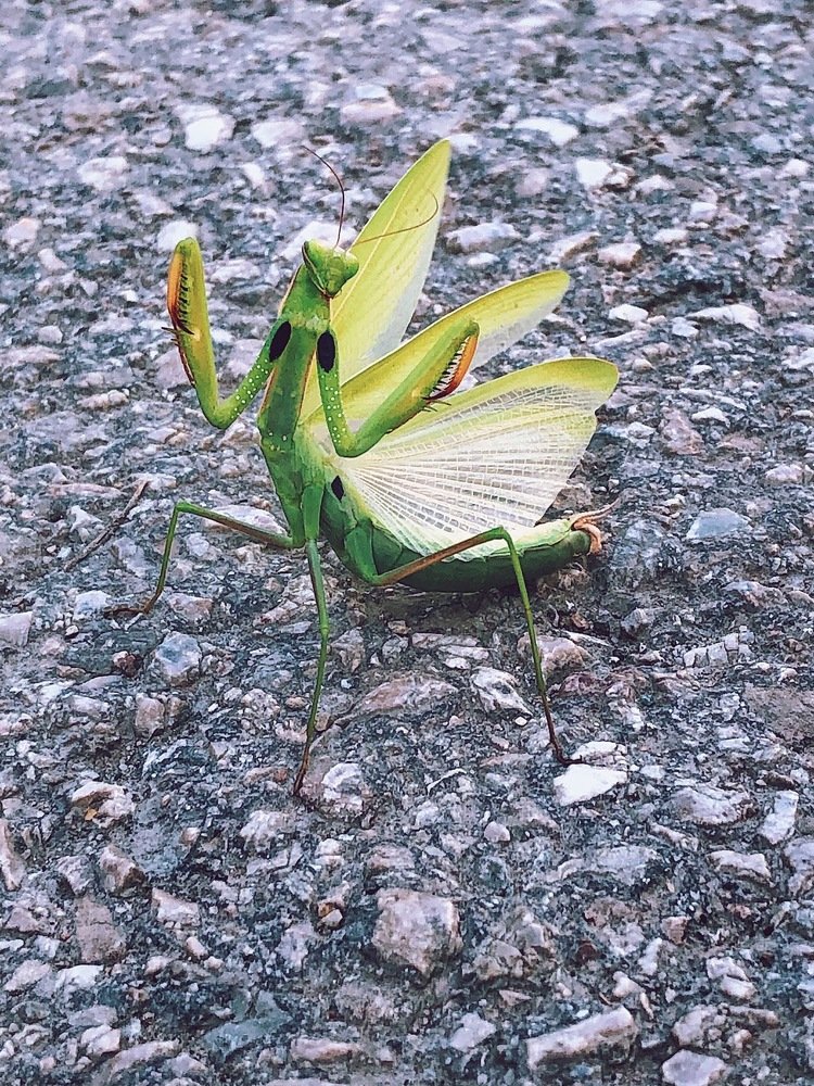 Photograph by Ольга Петухова