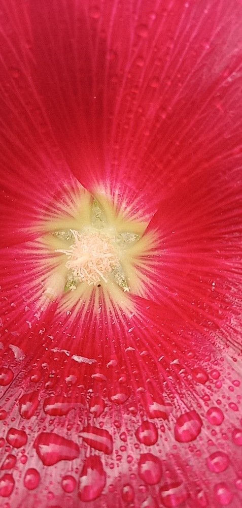 Photograph by Любовь Шаврина