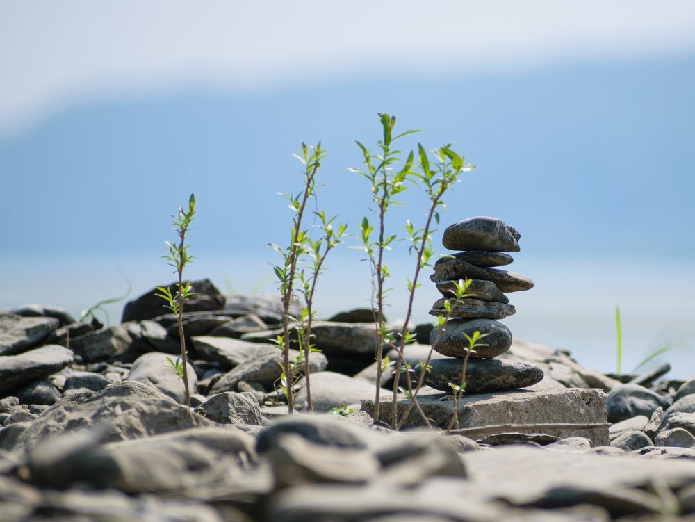 Photograph by Сергей Гилев