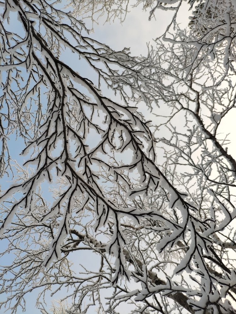 Photo #3874257