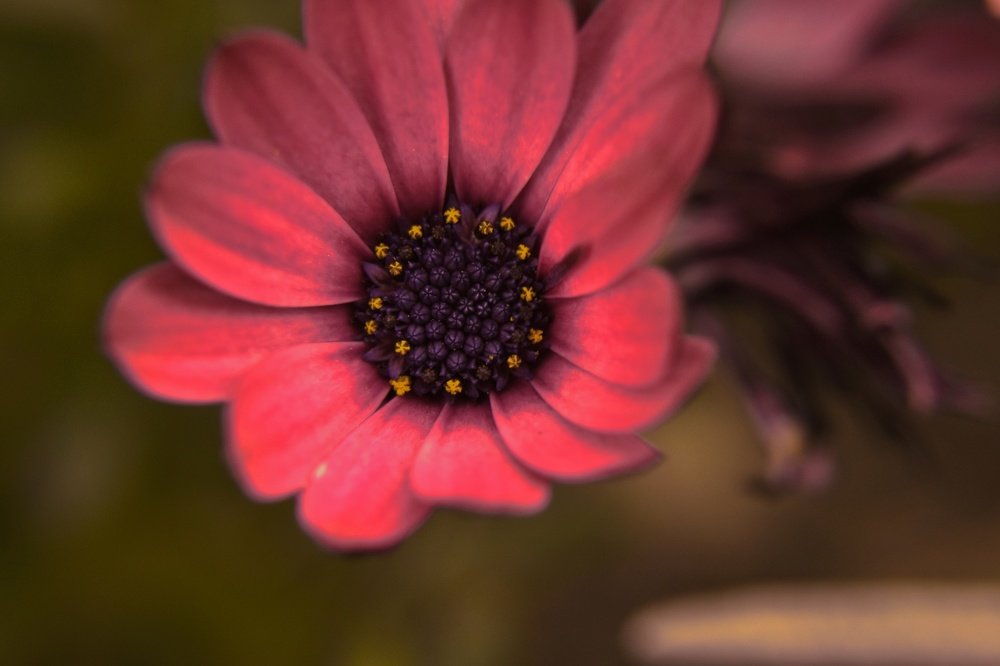 Photograph by Sebastian Ioan Pop