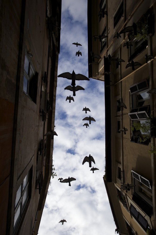 Photograph by Наталия Шибаева