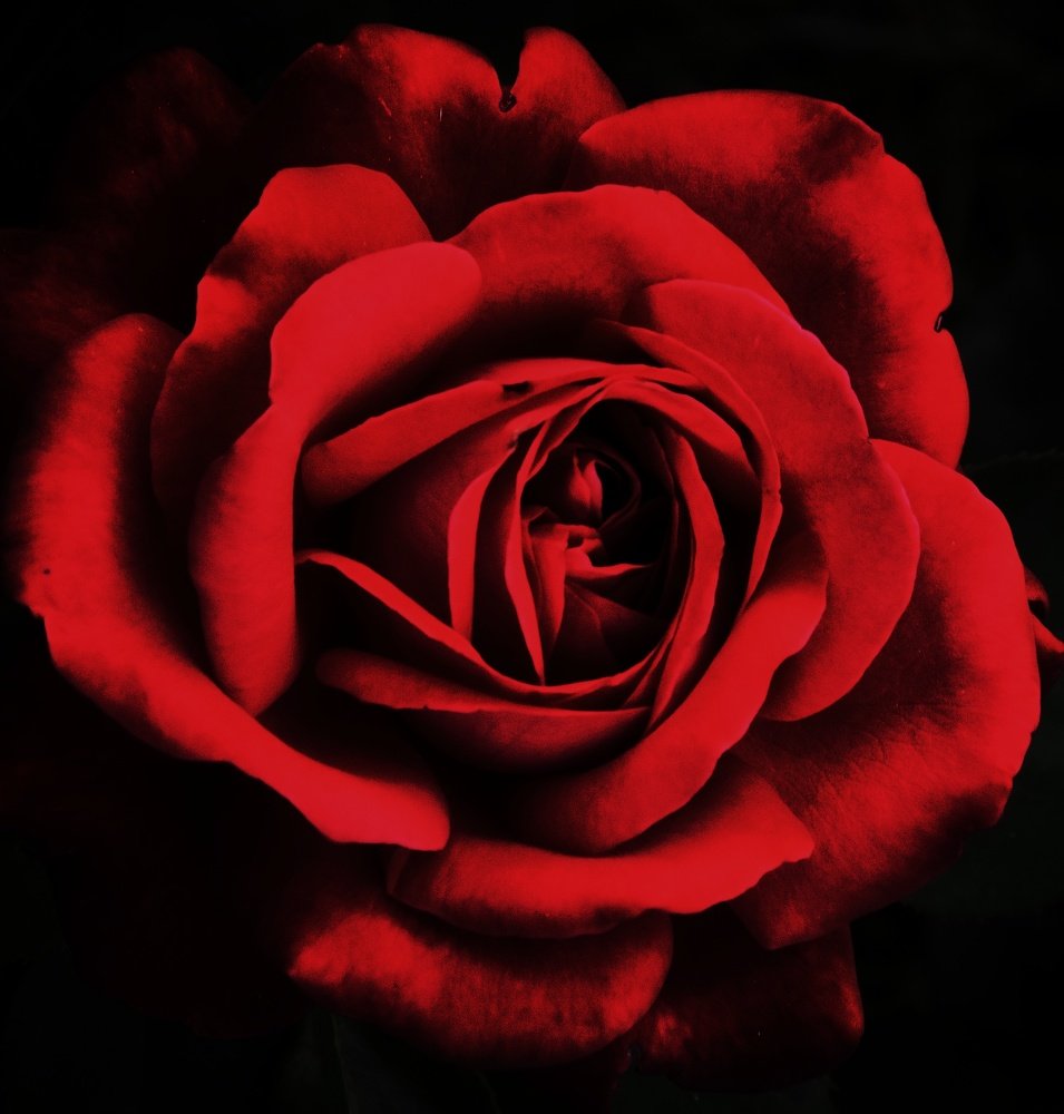 Photograph by Sebastian Ioan Pop