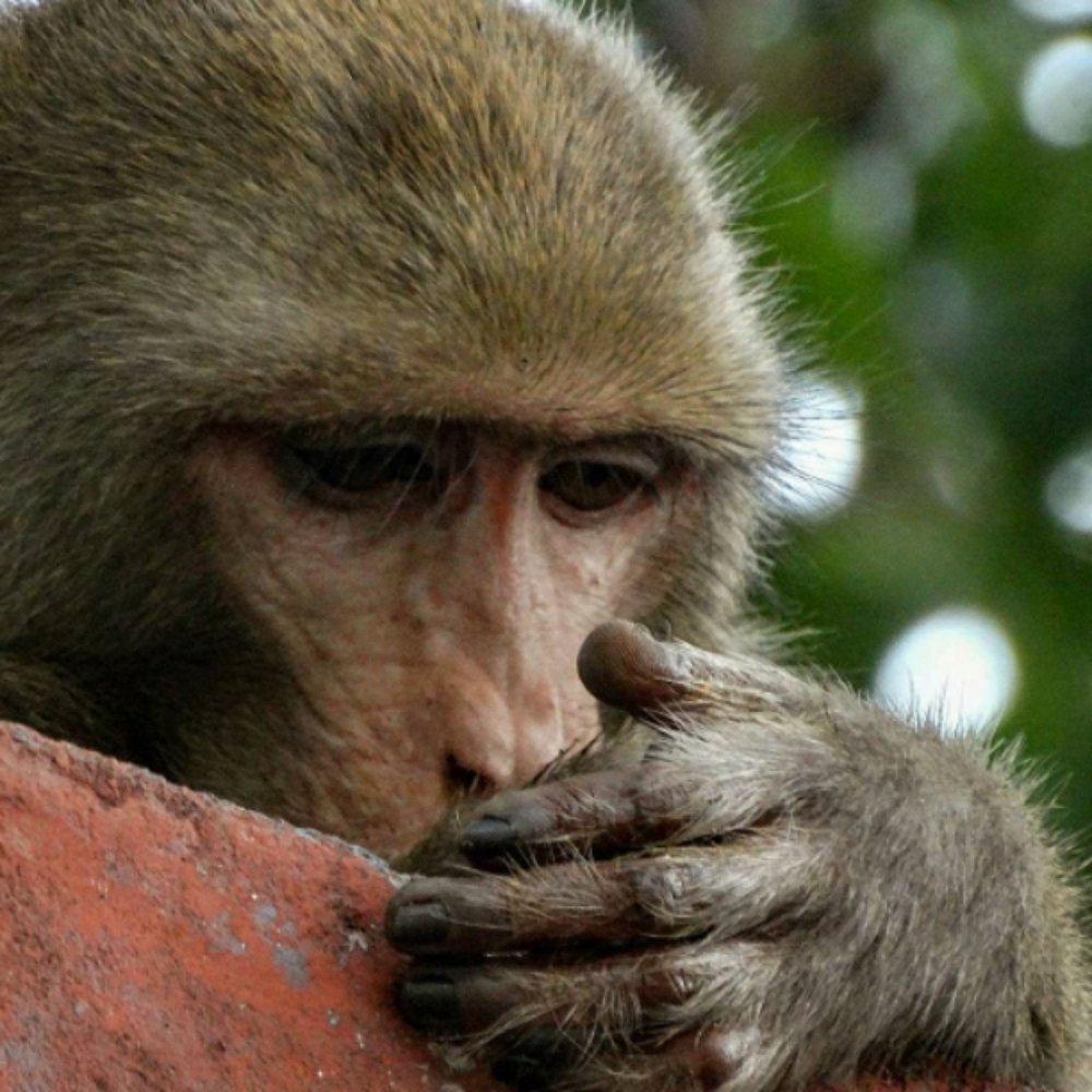 Photograph by Richa R