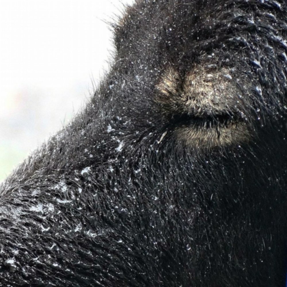 Photograph by Richa R