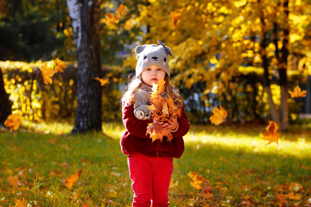 Золотая осень