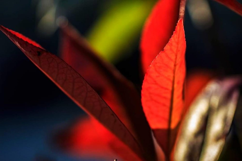 Photograph by Ольга Максимушкина