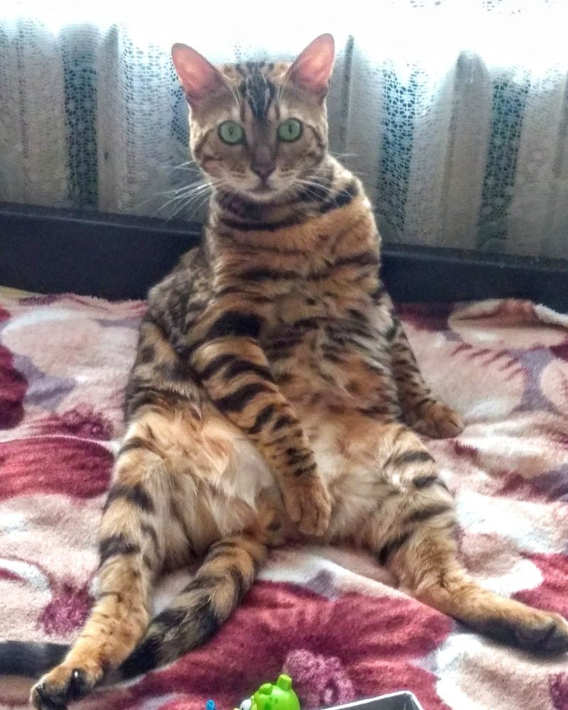 Ты заходи, если че...