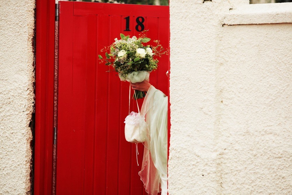 Photograph by Владимир Федин