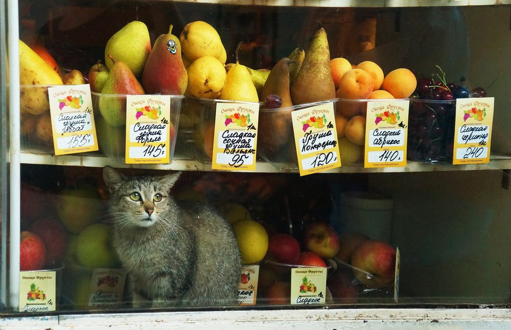 Photograph by Любовь Новикова