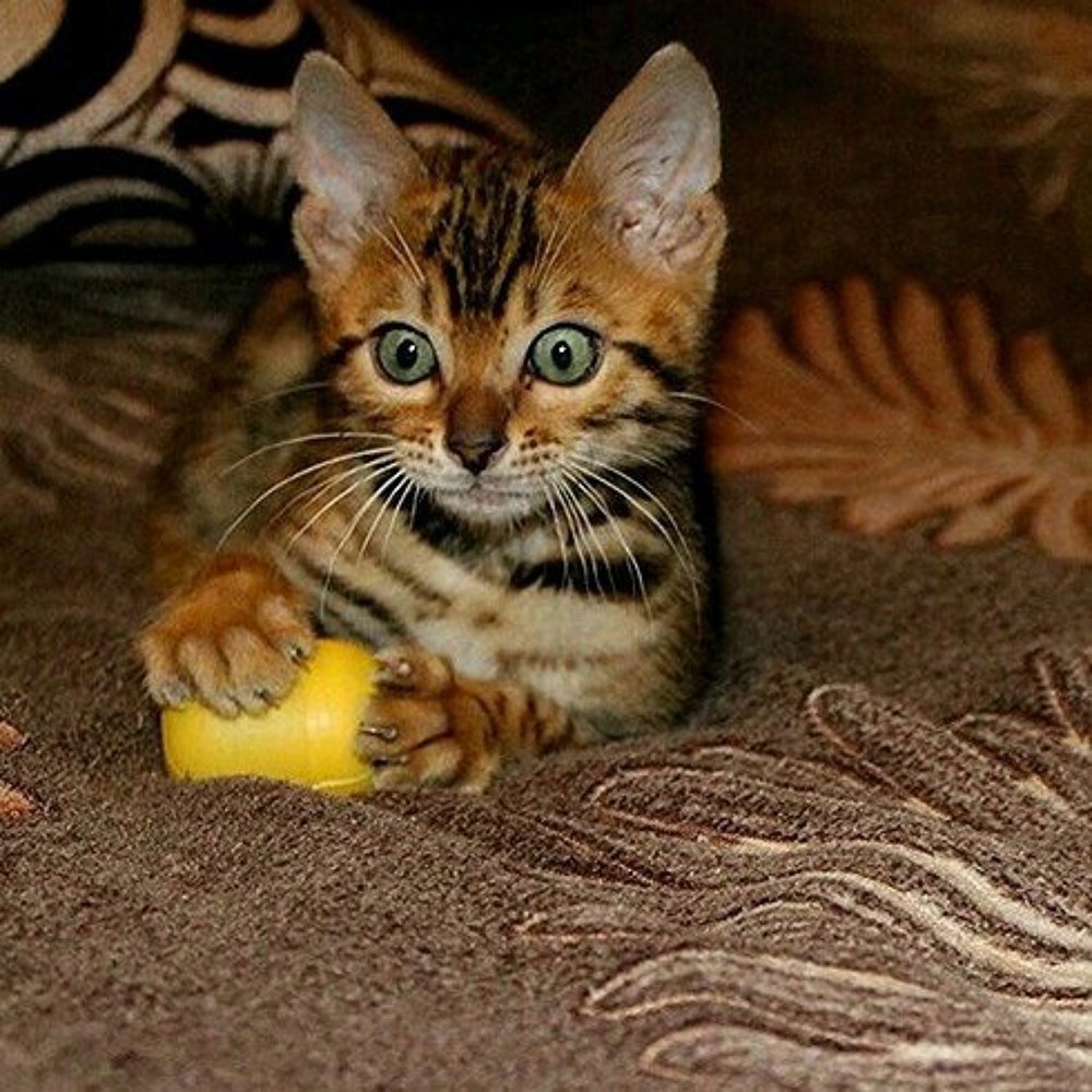 Photograph by Ирина Савина