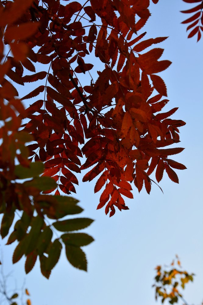 Photograph by Анатолий Орлов