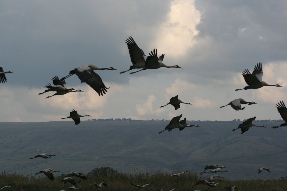 Photograph by Евгений Рабинович