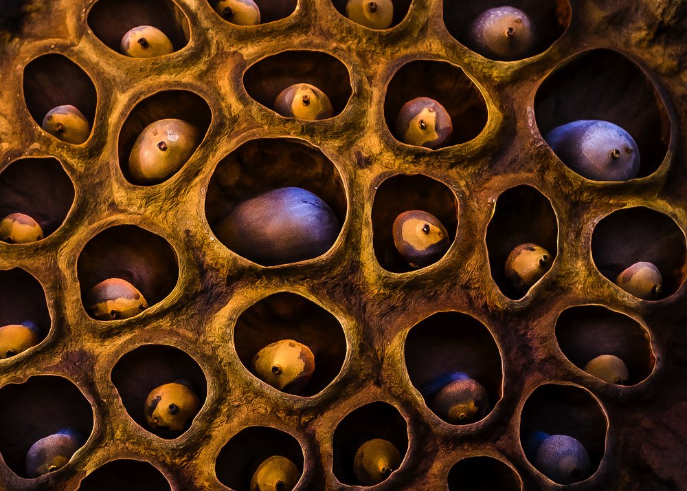 Photograph by Mikhail Sozonov