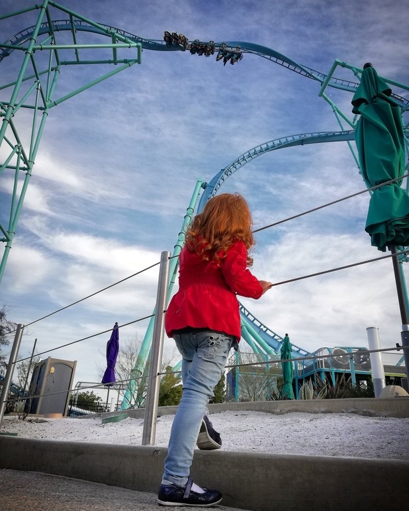 Photograph by Юлия Джиоева