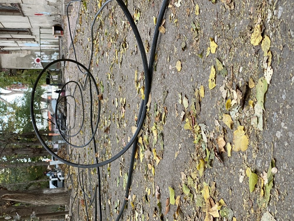 Photograph by Ольга Петухова