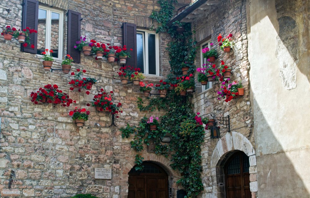 Photograph by Елена Ковалева