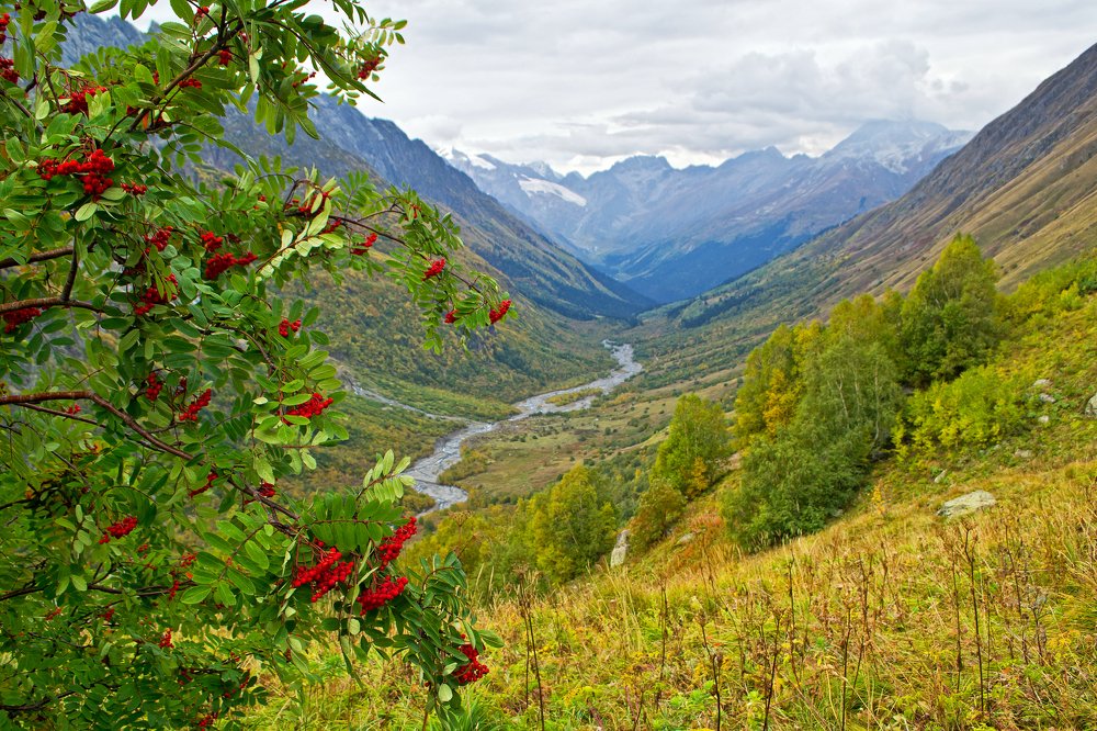 Photograph by Елена Ковалева