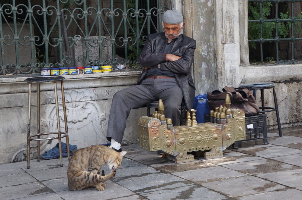 Photograph by Fishwood