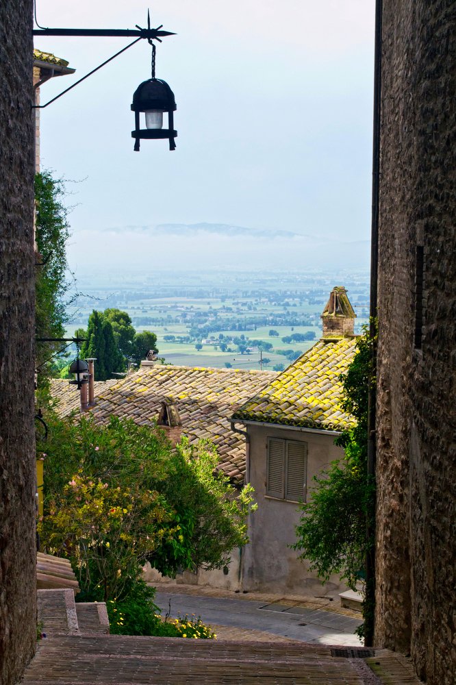 Photograph by Елена Ковалева