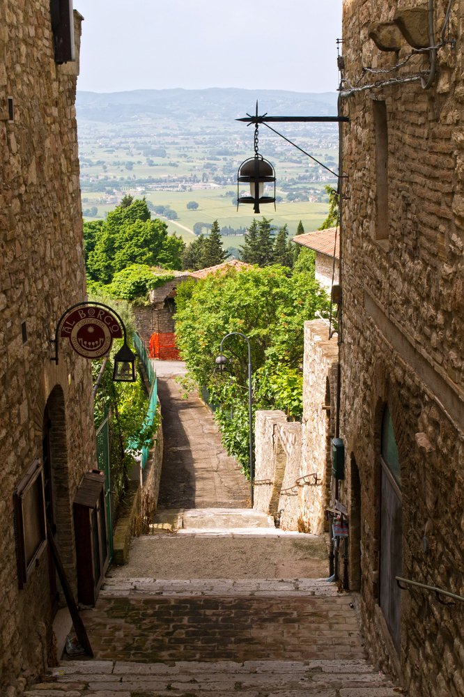 Photograph by Елена Ковалева