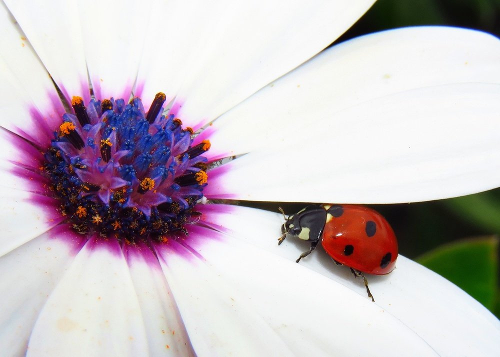 Photograph by Amin Ghaffarian