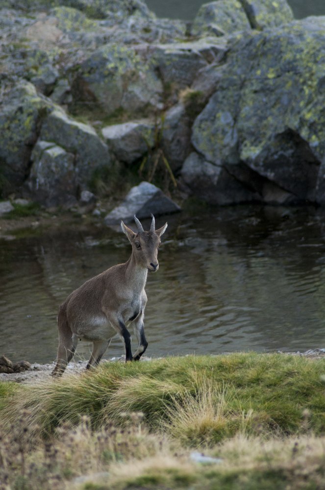 Photograph by Rubén Mariscal