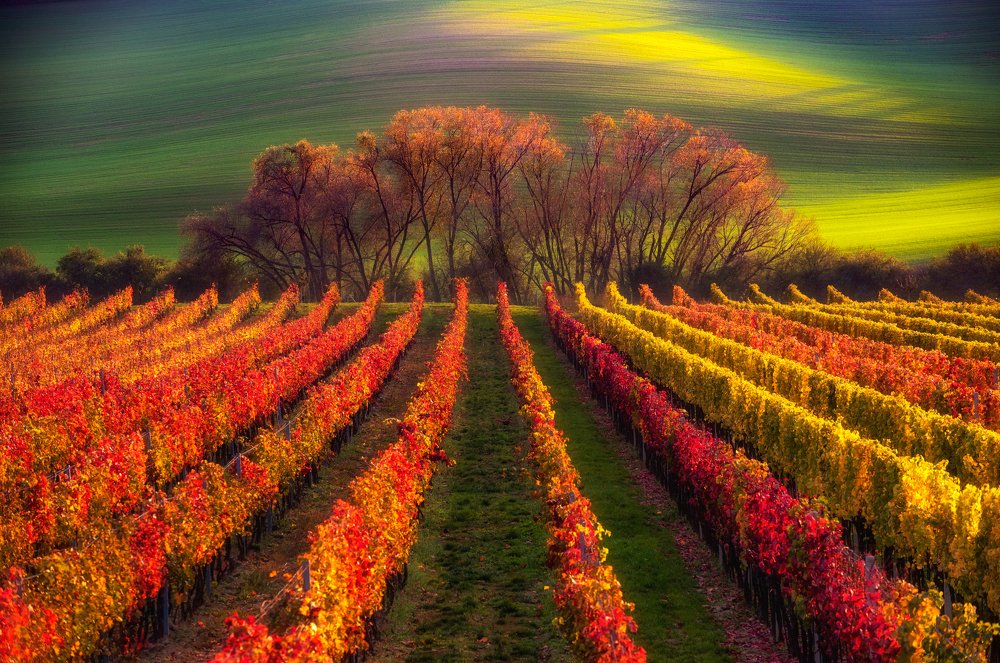 Photograph by Евгений Антонов