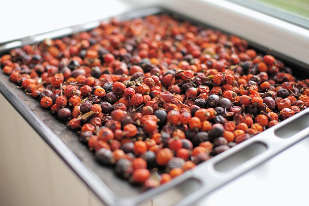 Photograph by Сергей Челахов