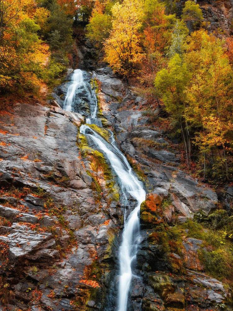 Фотография автора Aleksa Torri