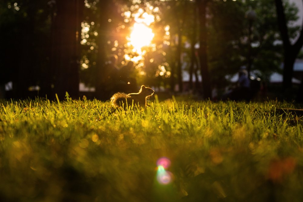 Photograph by Павел Мышковец