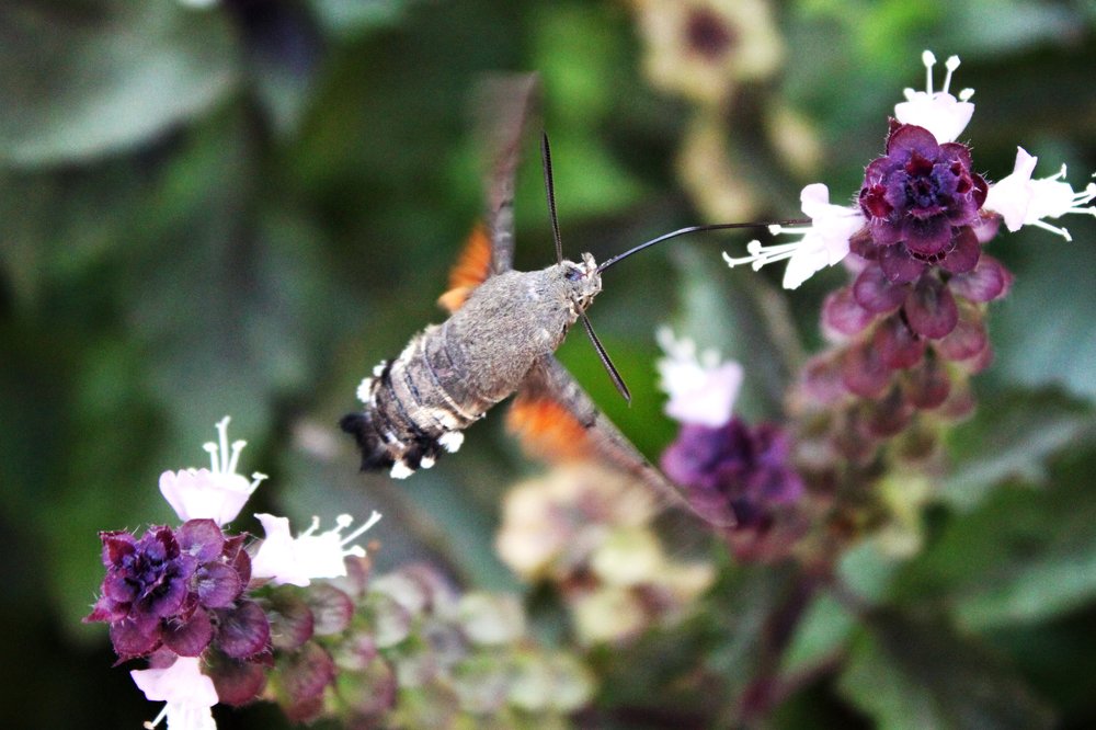 Фотография автора Гудкова Светлана