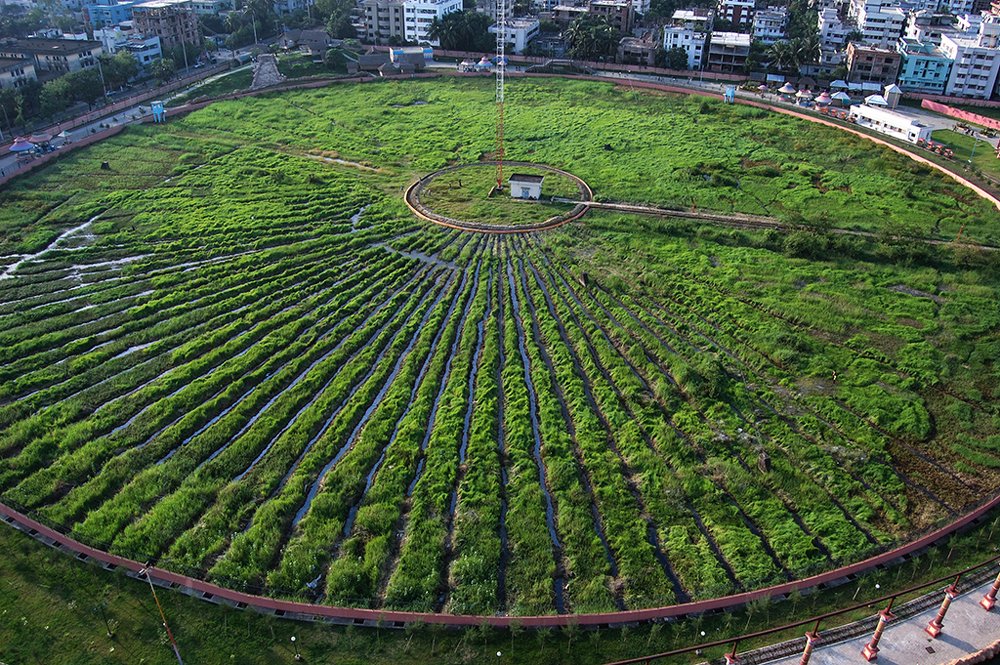 Photograph by  MD DIDARUL ALAM CHY