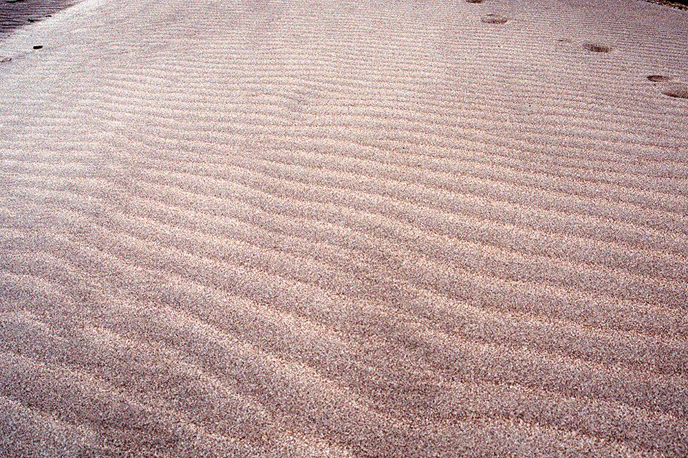 Photograph by  MD DIDARUL ALAM CHY