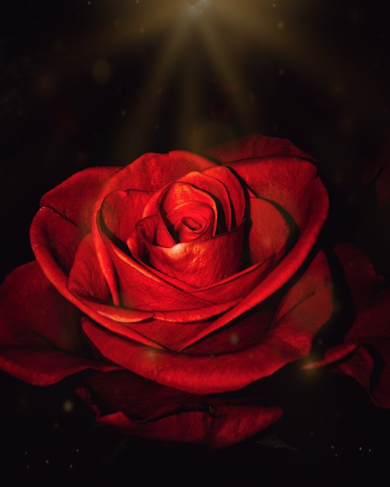 Photograph by Сергей Таранов