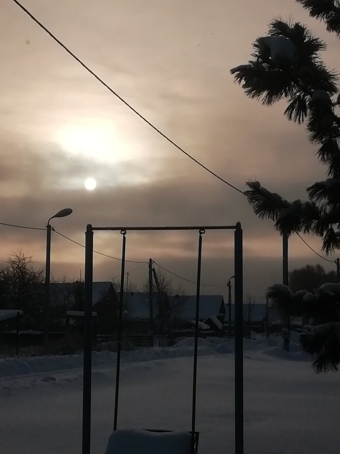 Photo #3875038