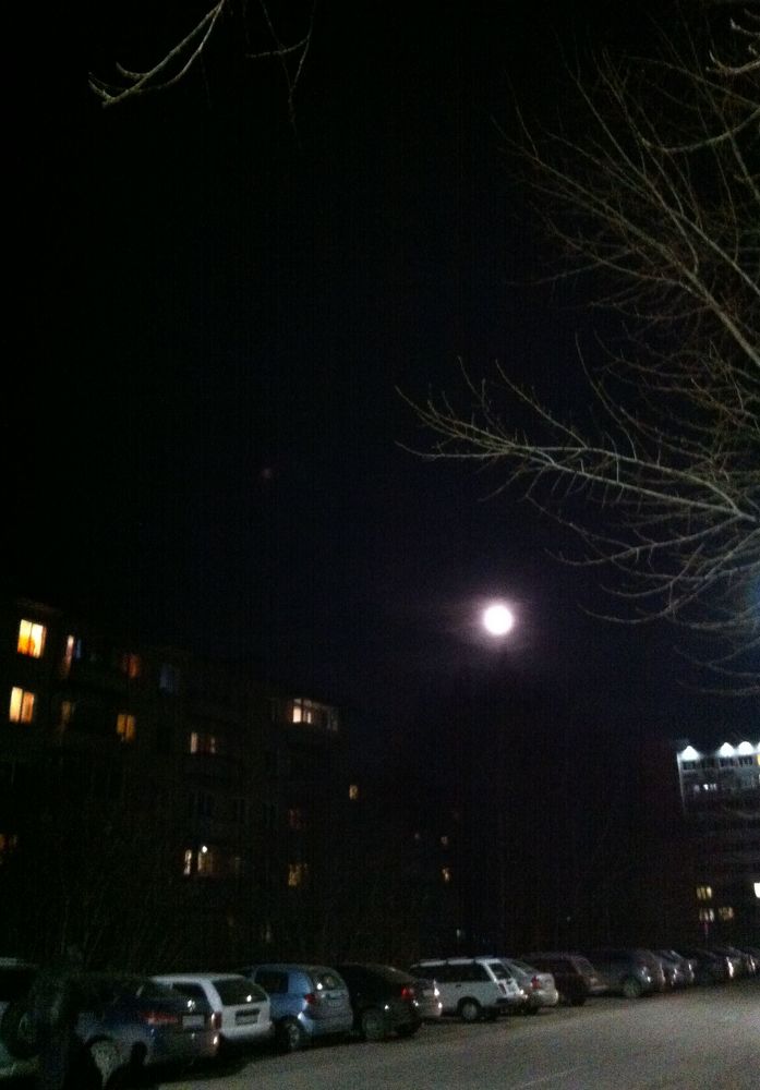 Photograph by Нина