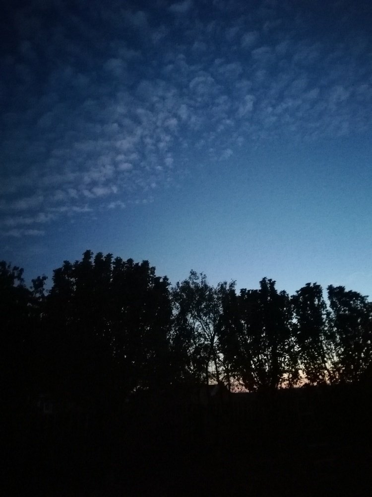 Photograph by Юлия Мартынова