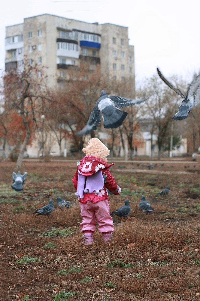 На прогулке