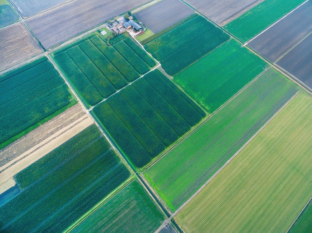 Photograph by Aleksei Kazakov