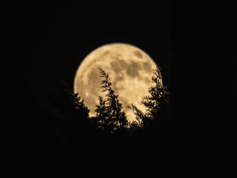 Photograph by Bahrami Ashkan