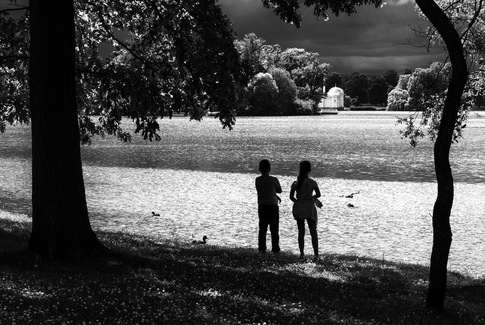 Зачарованные светом. В ожидании дождя.